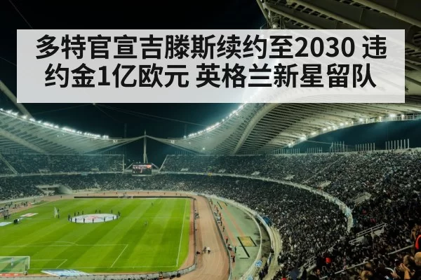 football stadium